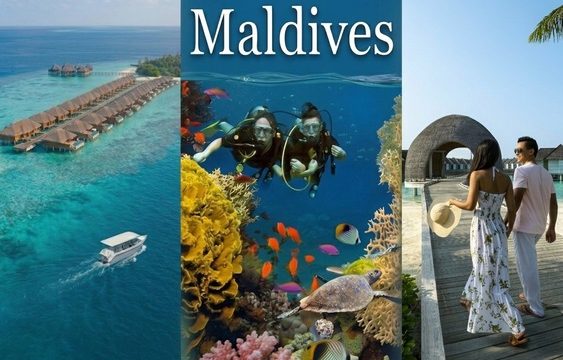 Bid My Maldives Trip